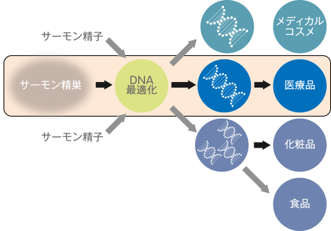Aファクター注射(プレミアムサーモン注射)